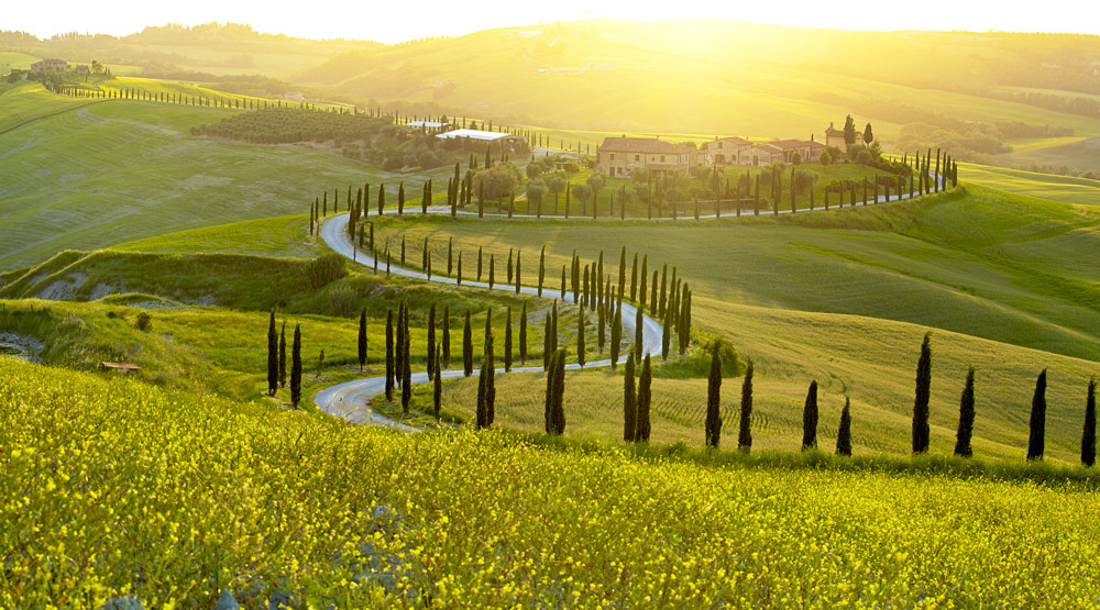 Colline del Chianti 2